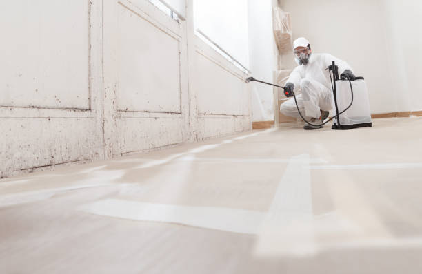 24/7 Emergency Mold Remediation experts in Four Oaks, NC